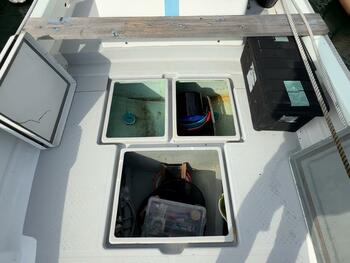 thumb_091883-yanmar-de24dz