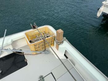 thumb_091883-yanmar-de24dz