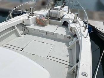 thumb_091885-yamaha-dy-45