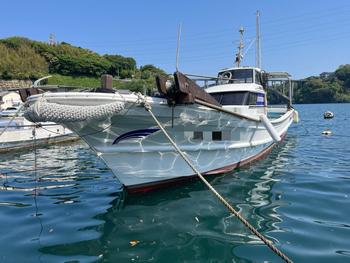 thumb_091897-yamaha-dy-34