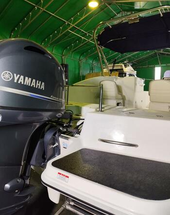 thumb_091932-yamaha-ax220