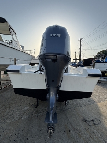 thumb_091961-yamaha-w-25