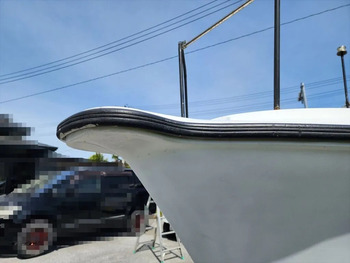 thumb_092005-mercury-marine-sea-bream-mf630