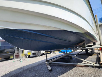 thumb_092005-mercury-marine-sea-bream-mf630