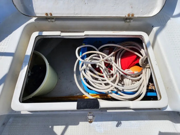 thumb_092005-mercury-marine-sea-bream-mf630