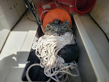 thumb_092005-mercury-marine-sea-bream-mf630