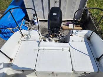 thumb_092005-mercury-marine-sea-bream-mf630