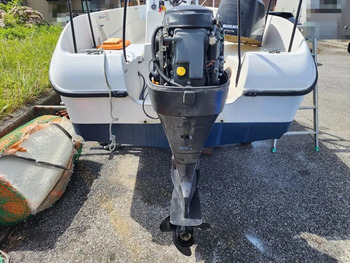 thumb_092005-mercury-marine-sea-bream-mf630