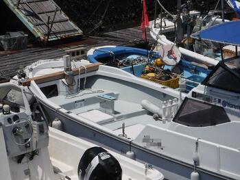 thumb_092026-yanmar-de24b