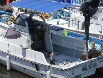 thumb_092026-yanmar-de24b