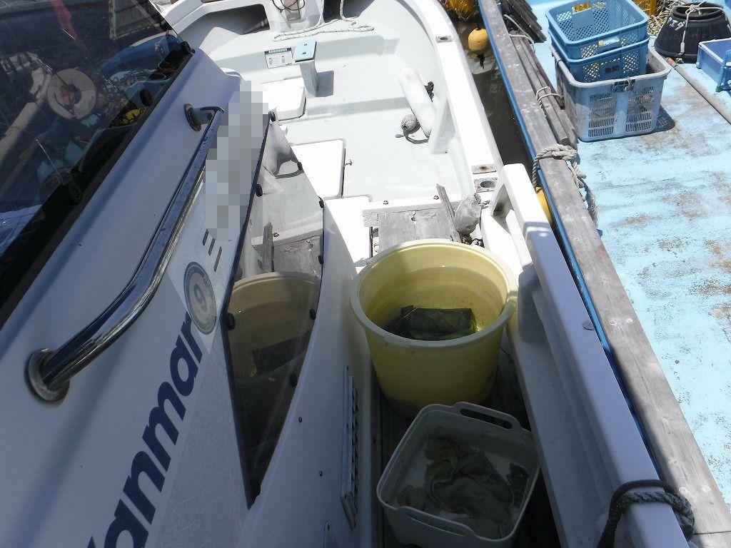 banner_092026-yanmar-de24b
