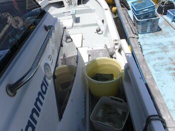 thumb_092026-yanmar-de24b