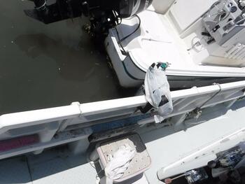 thumb_092026-yanmar-de24b