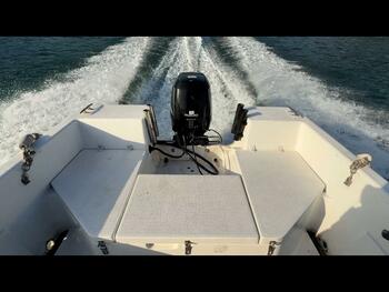 thumb_092029-bambi-bff21