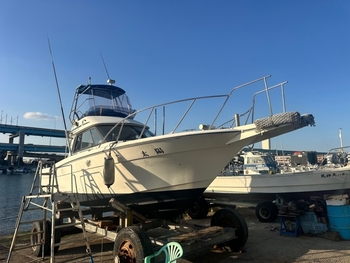 thumb_092067-yamaha-sf-31