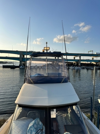 thumb_092067-yamaha-sf-31