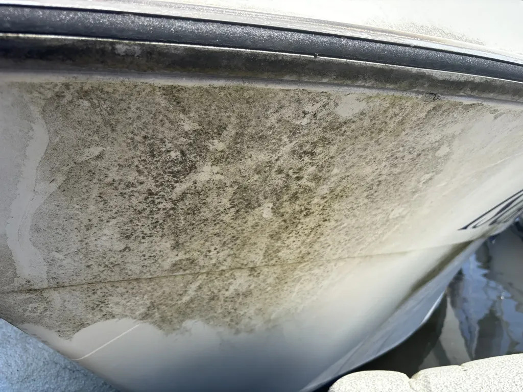 banner_092074-nissan-suncruise-22