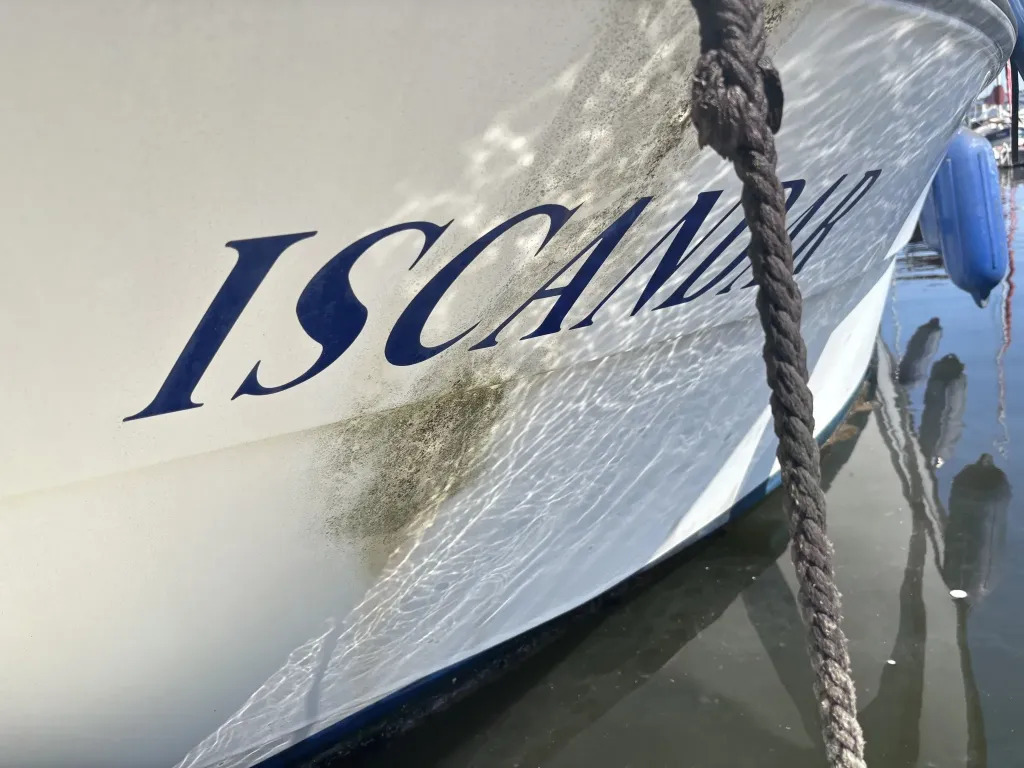 banner_092074-nissan-suncruise-22