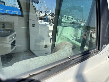 thumb_092074-nissan-suncruise-22