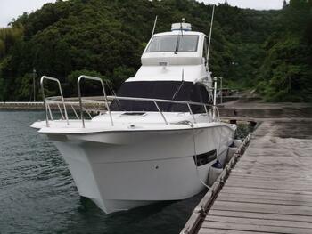 thumb_092116-yanmar-ex33iifb