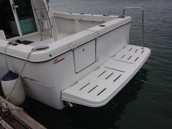 thumb_092116-yanmar-ex33iifb