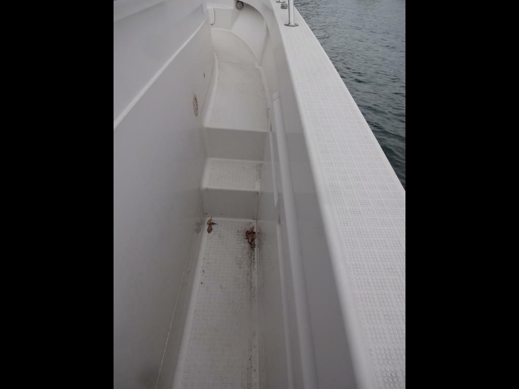 banner_092116-yanmar-ex33iifb