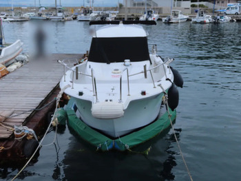 thumb_092141-yanmar-fz-25g