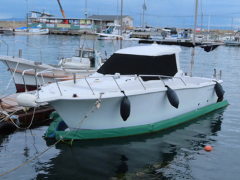 thumb_092141-yanmar-fz-25g