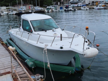 thumb_092141-yanmar-fz-25g
