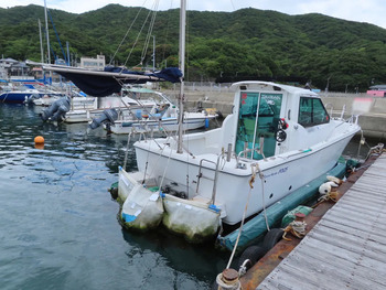 thumb_092141-yanmar-fz-25g