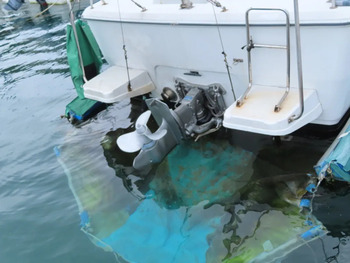 thumb_092141-yanmar-fz-25g