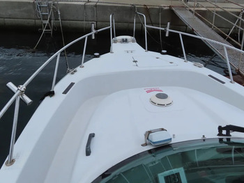thumb_092141-yanmar-fz-25g