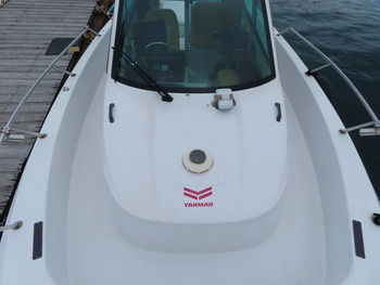 thumb_092141-yanmar-fz-25g