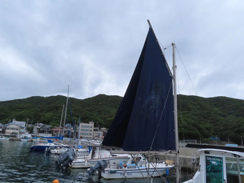 thumb_092141-yanmar-fz-25g