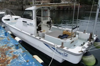 thumb_092162-yanmar-de26