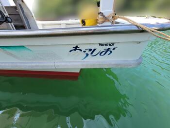 thumb_092173-yanmar-de26