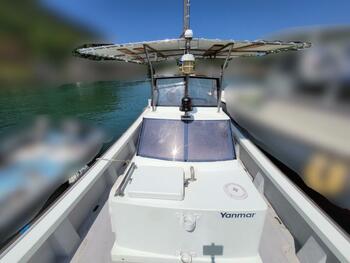 thumb_092173-yanmar-de26