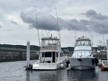 thumb_092194-cabo-47-flybridge-fs