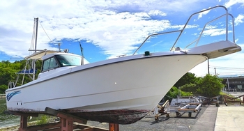 thumb_092200-yanmar-lf26bz-ik