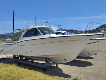 thumb_092267-yamaha-fr-32-ex