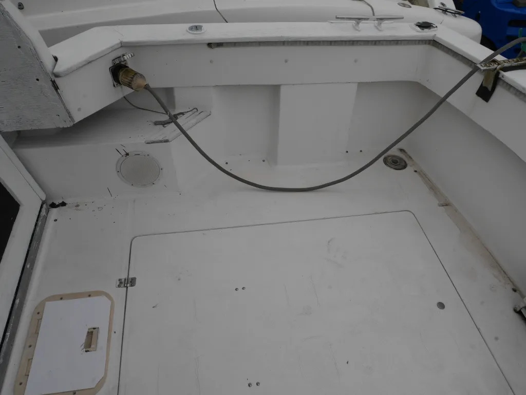 banner_092519-bayliner-3288-ek