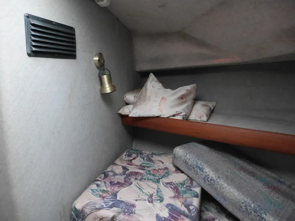 banner_092519-bayliner-3288-ek