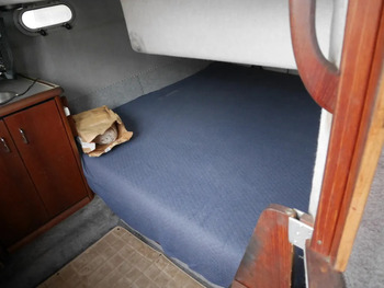 thumb_092519-bayliner-3288-ek