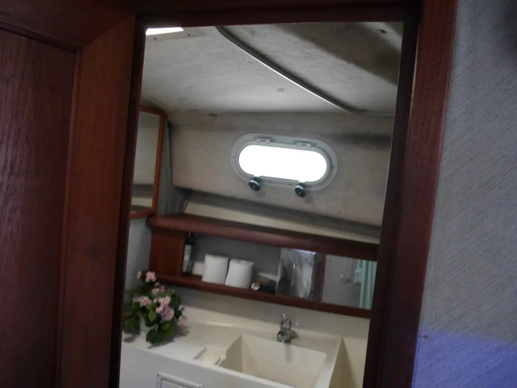 banner_092519-bayliner-3288-ek
