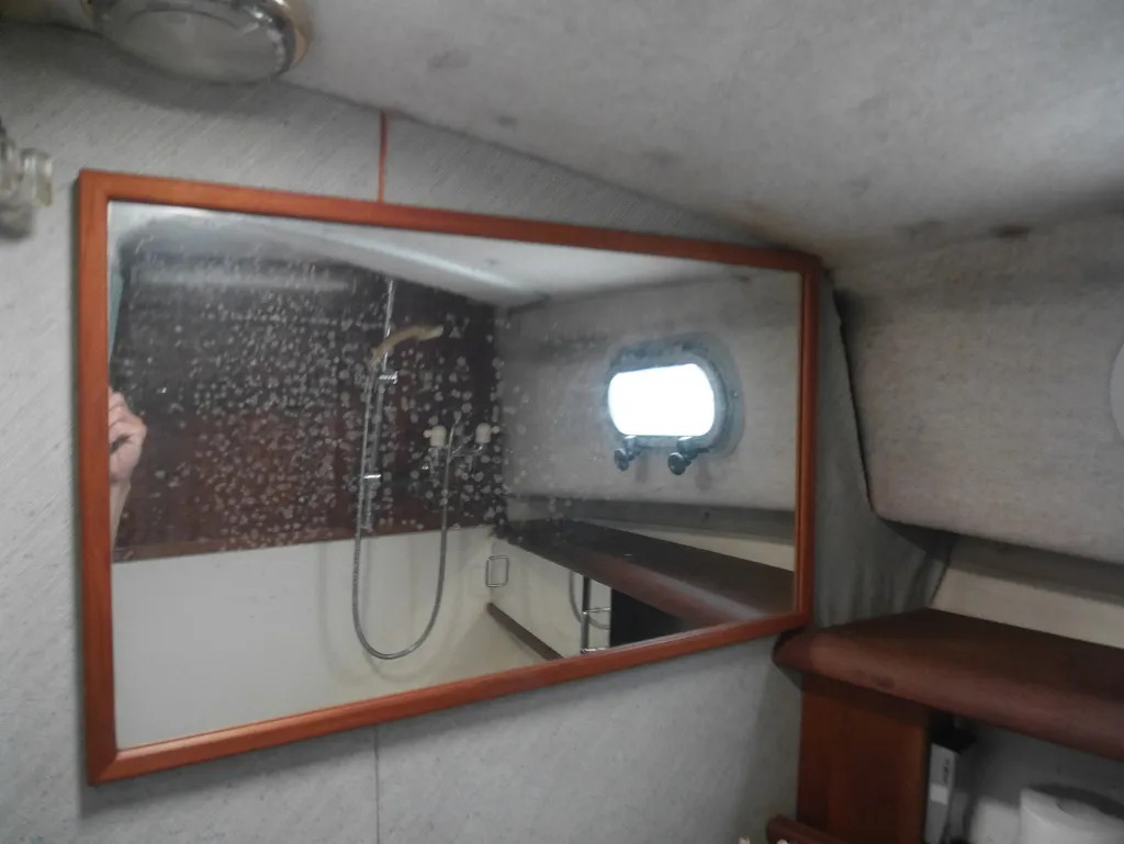 banner_092519-bayliner-3288-ek