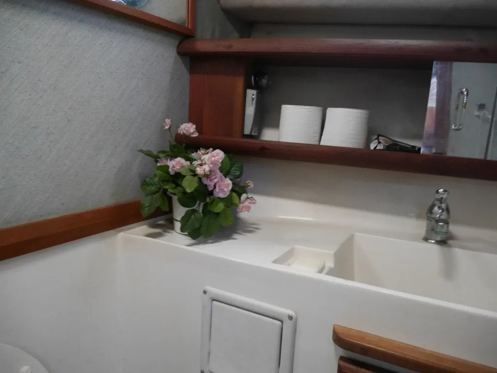 banner_092519-bayliner-3288-ek