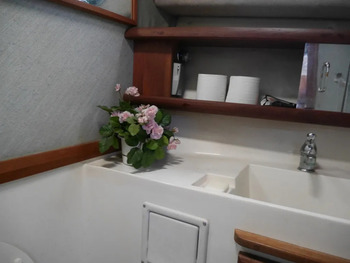 thumb_092519-bayliner-3288-ek