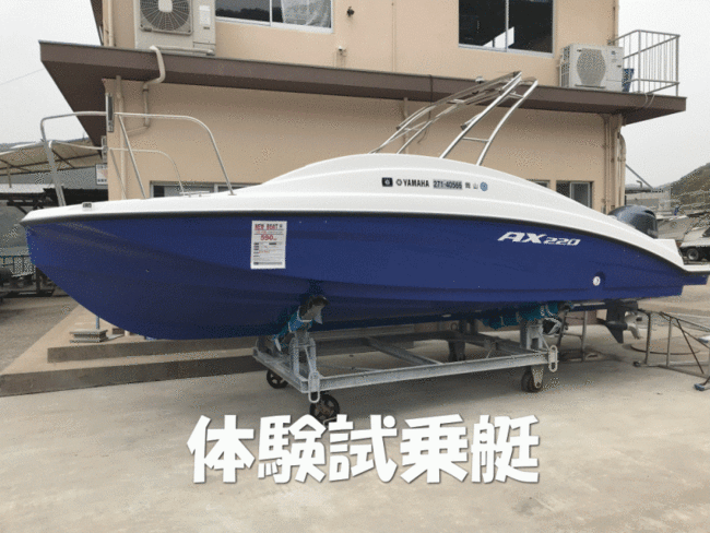 medium_056680-yamaha-ax220