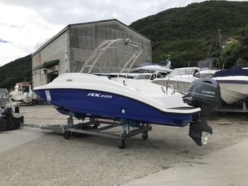 thumb_056680-yamaha-ax220