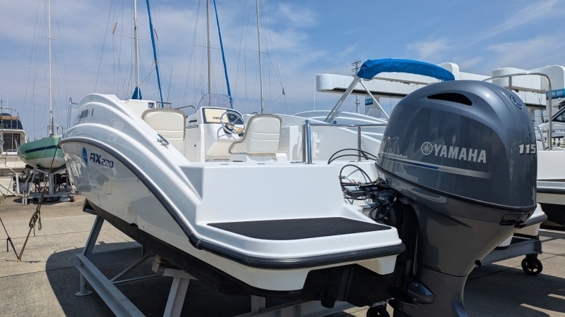 banner_087867-yamaha-ax220
